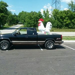 Meet your Posher, William